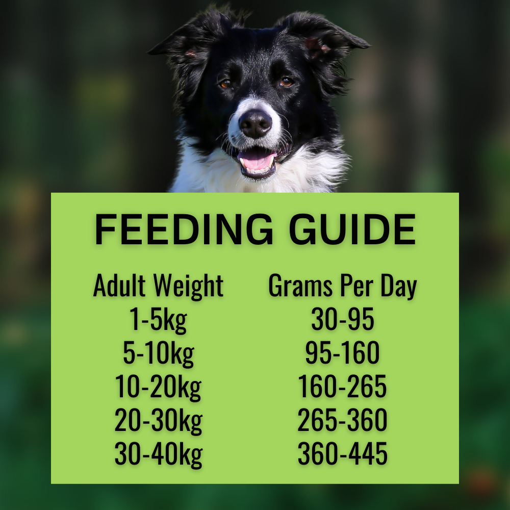 Brigadiers Choice Lamb & Rice - Feeding Guide