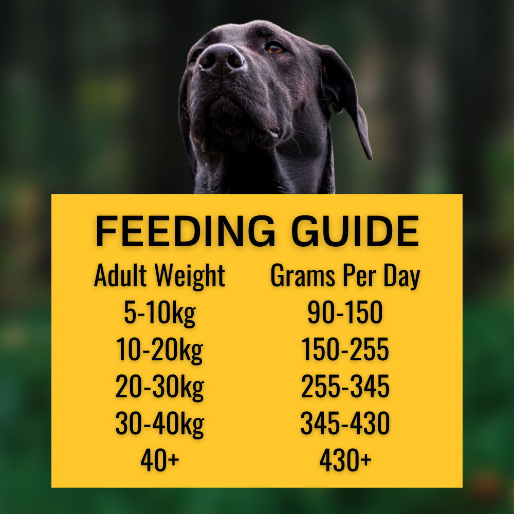 Brigadiers Choice Large Breed Chicken & Rice 12kg - Feeding Guide