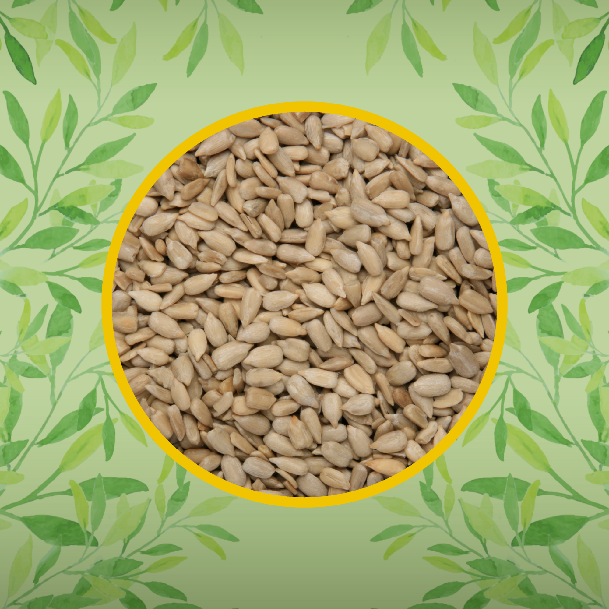 Picture of sunflower seeds