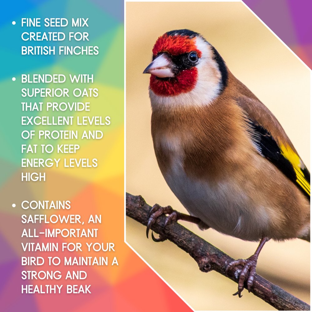 SkyGold British Finch - Selling Points