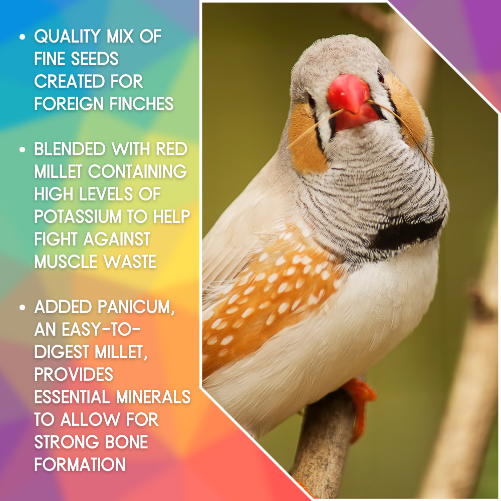 SkyGold Gourmet Foreign Finch - Selling Points