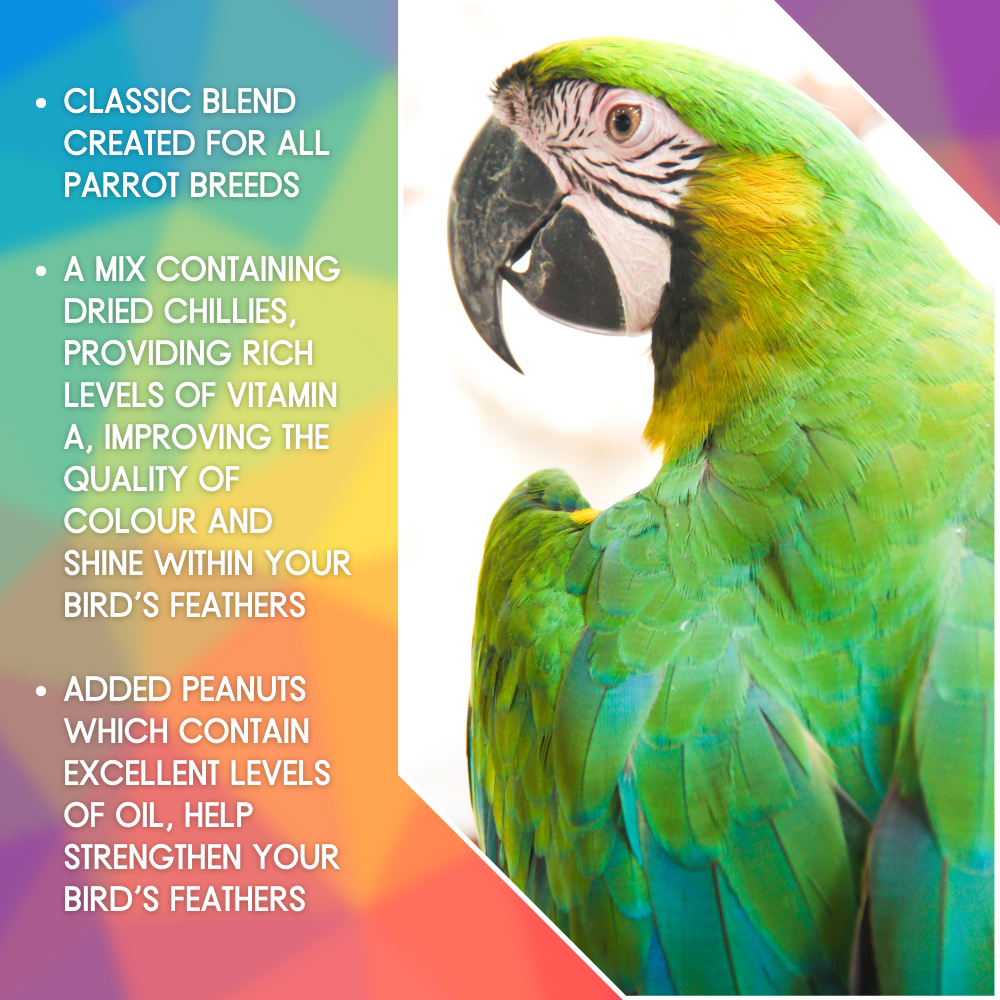 SkyGold Standard Parrot - Selling Points