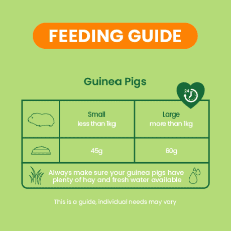 Burgess Excel Guinea Pig Nuggets with Mint Feeding Guide