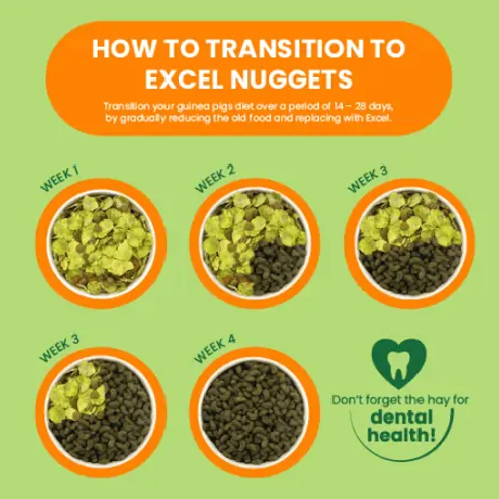 Burgess Excel Guinea Pig Nuggets with Mint Feeding Transition Guide
