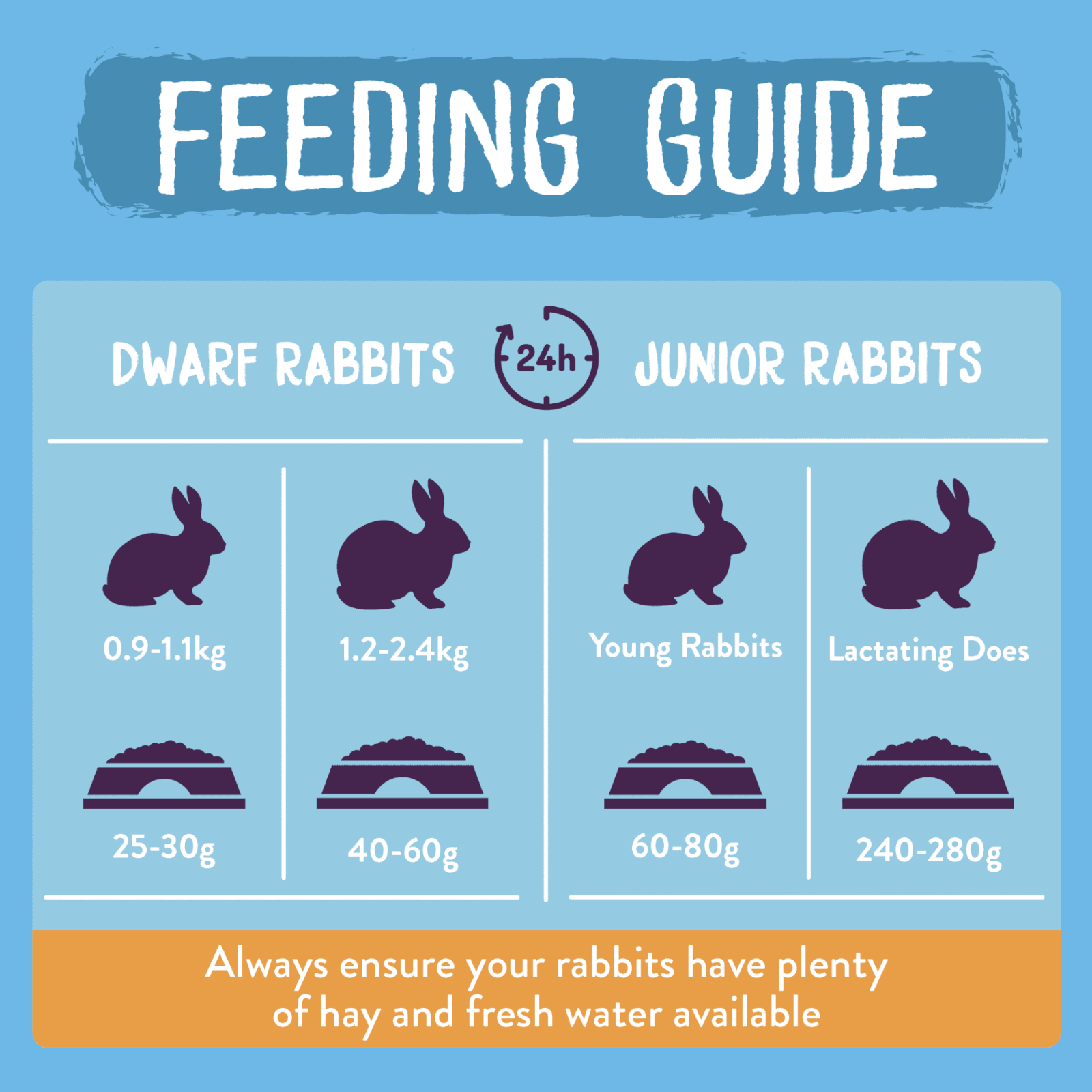 Burgess Excel Junior & Dwarf Nuggets Feeding Guide