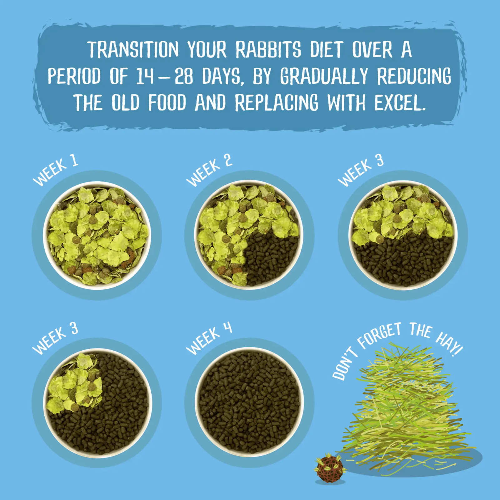 Burgess Excel Junior & Dwarf Nuggets Feeding Transition Guide