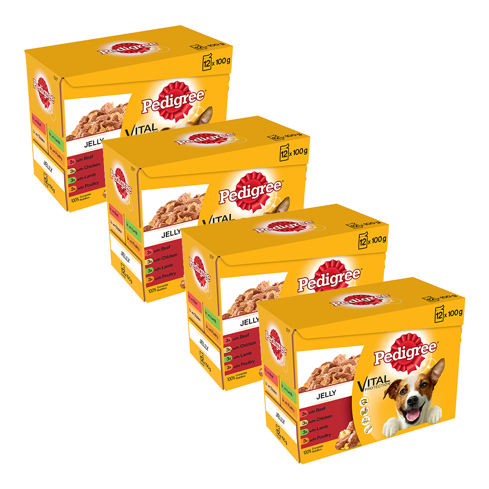 Pedigree Favourites in Jelly Pouches 4 x 12 x 100g.png