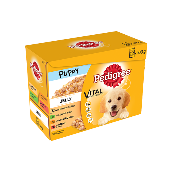 Pedigree Puppy Meat Selection in Jelly 12 x 100g