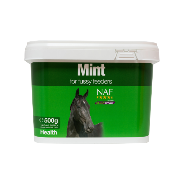 NAF Mint 500g