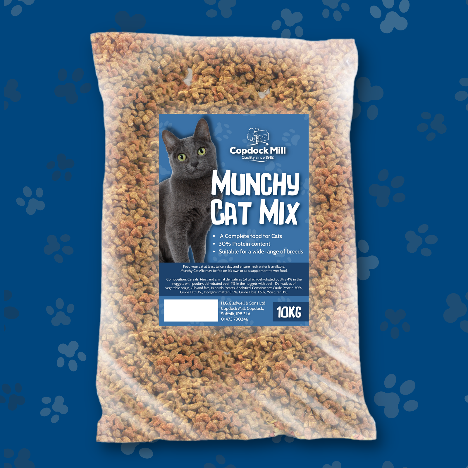 Munchy Cat - Bag with Background