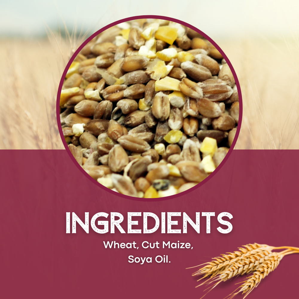 Ingredients - Mixed Corn