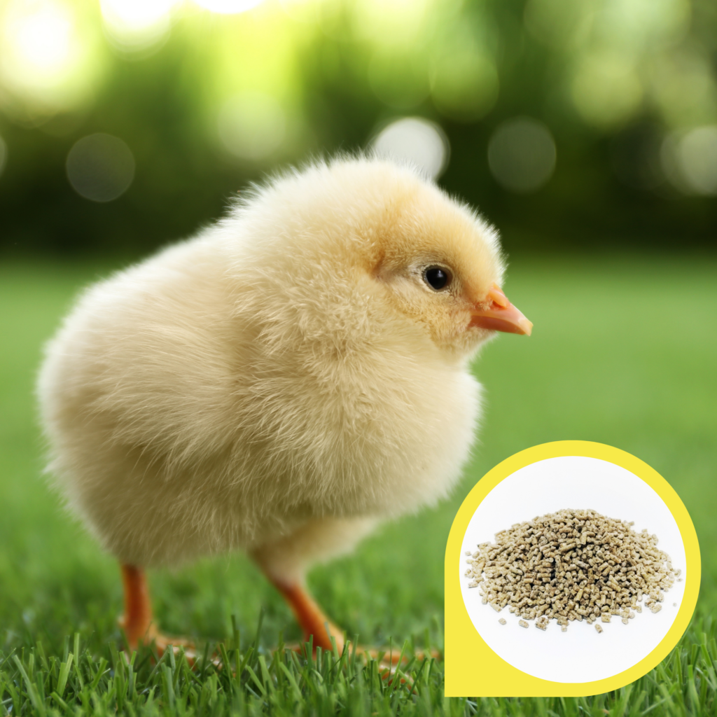Copdock Mill Chick Starter Micros 20kg
