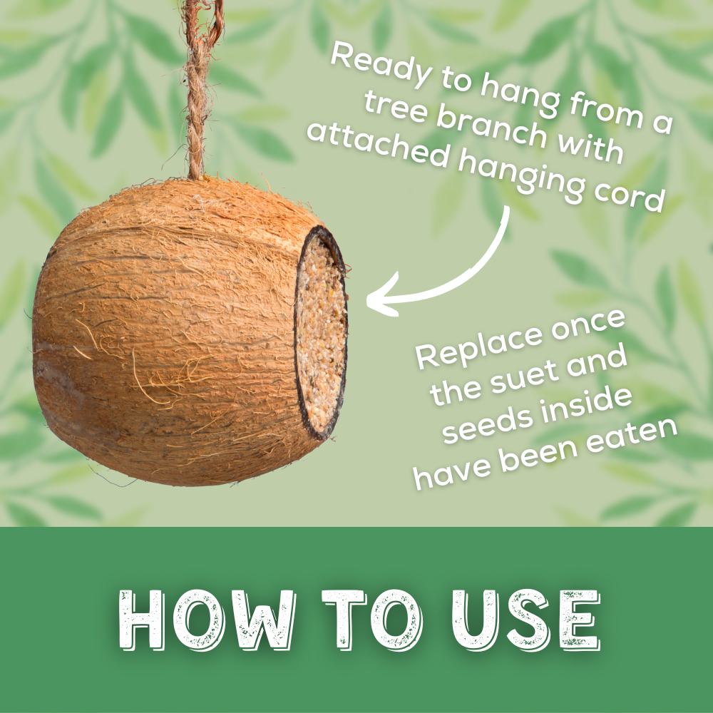 Coconut Drum - How to use 1000x1000px