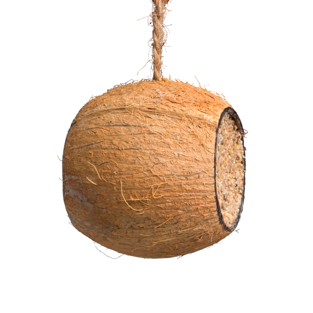 Coconut Drum - Product Only 1000x1000px