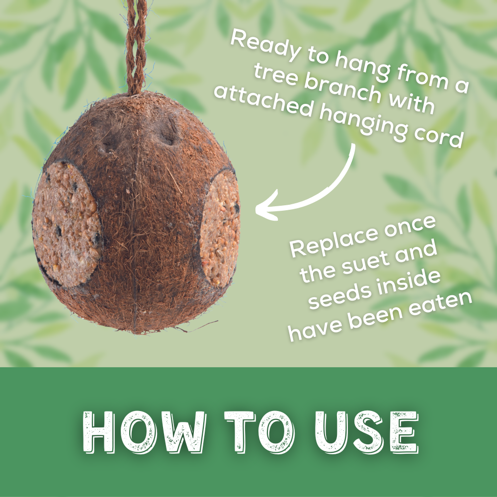 Whole Coconut - How to use 1000x1000px