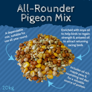 all rounder pigeon mix infographic