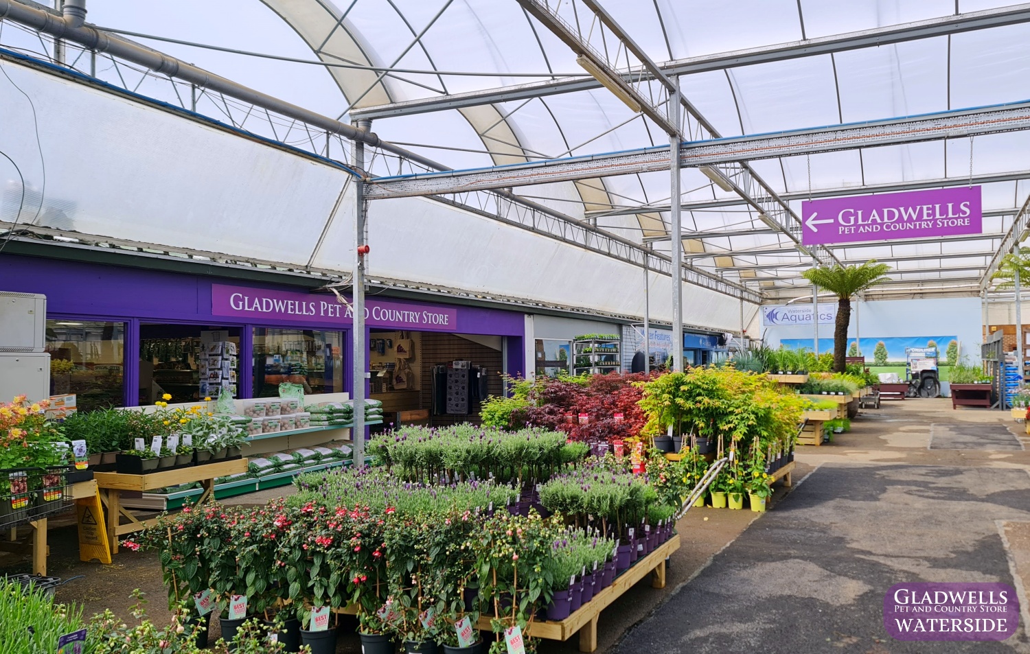 Gladwells in Waterside | Gladwells Pet