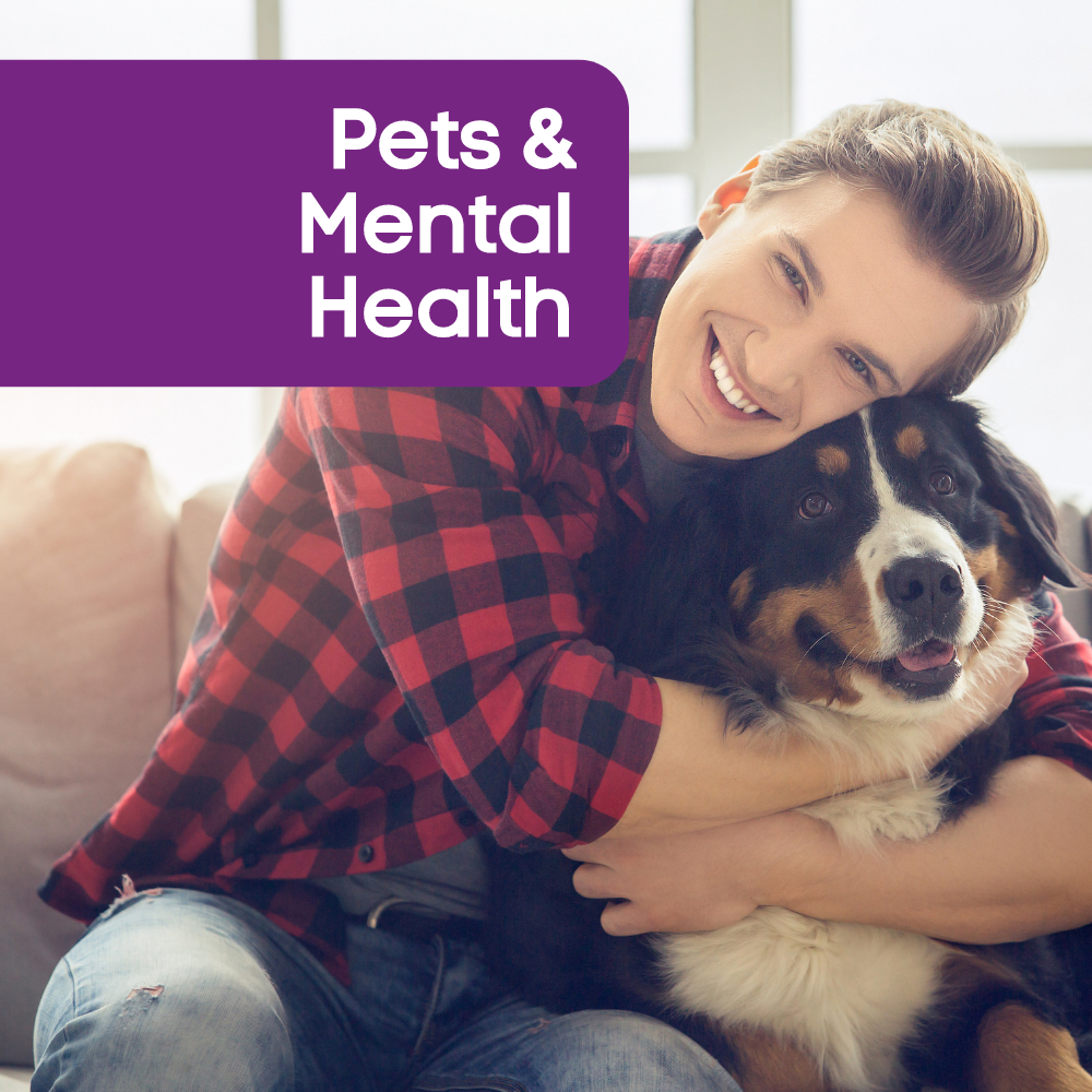How Our Pets Can Help With Mental Health - Gladwells Pet & Country ...