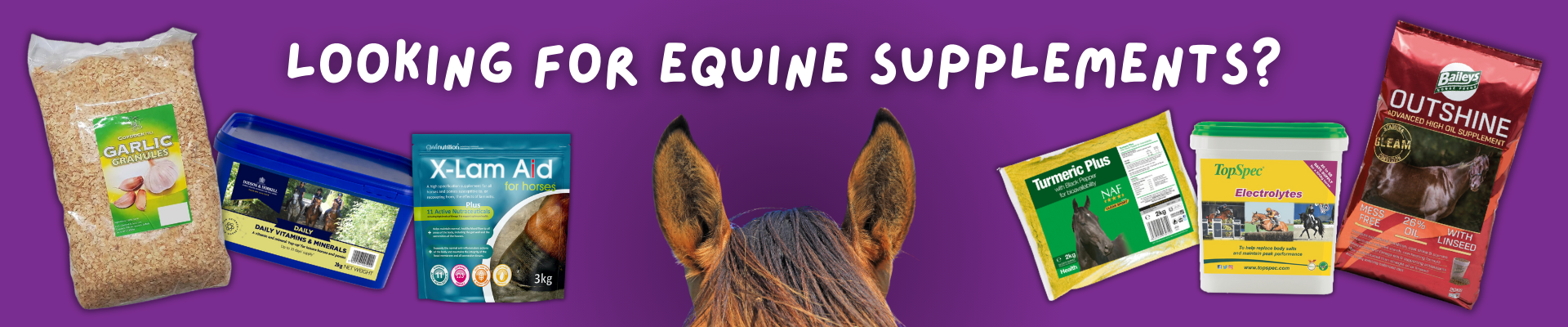 Looking for equine Supplements