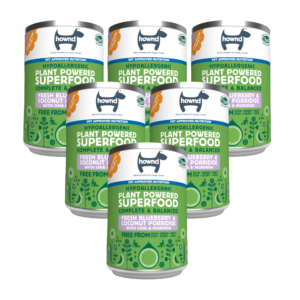 Hownd Blueberry & Coconut Porridge Wet Dog Food 6 x 400g