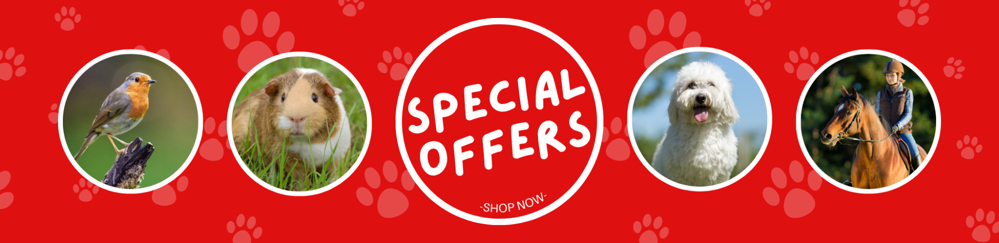 Special Offers