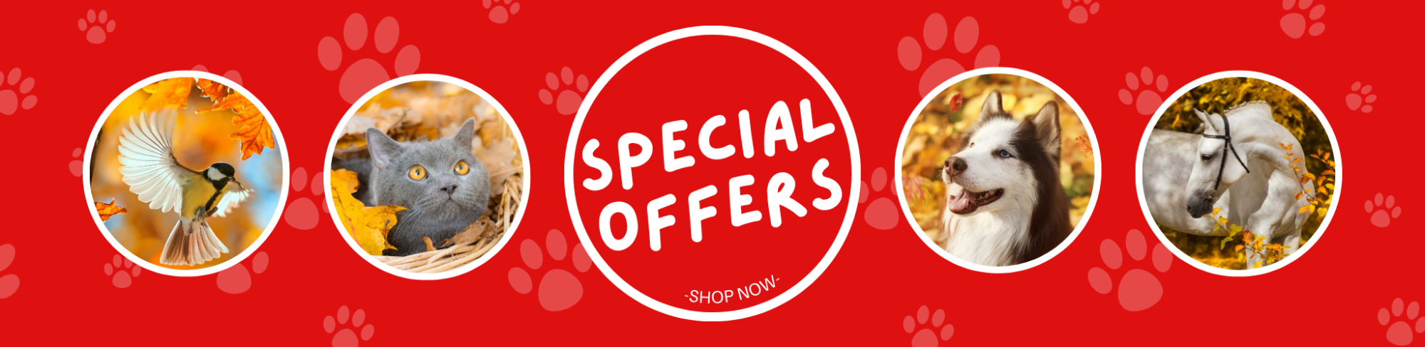 Special Offers